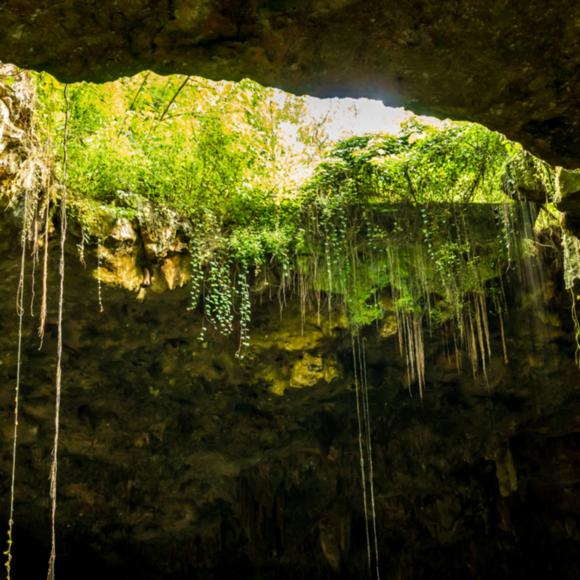 Cenote Kubiko